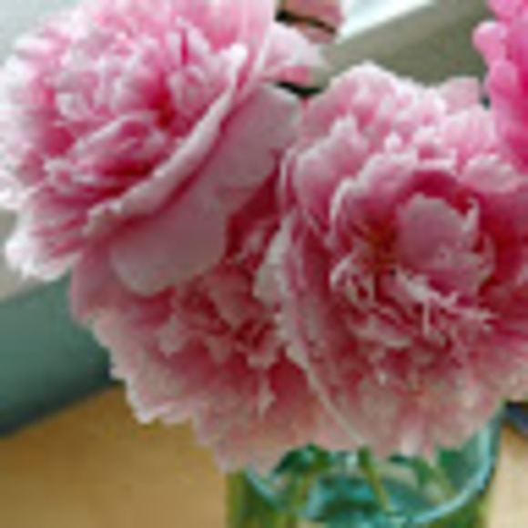 Meet your Posher, Coastin - Picture 1 of 1